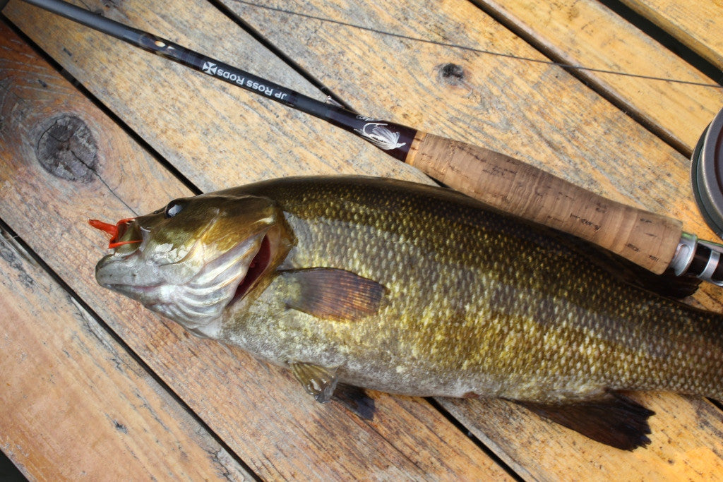 Targeting Spring Smallmouth bass at iceout