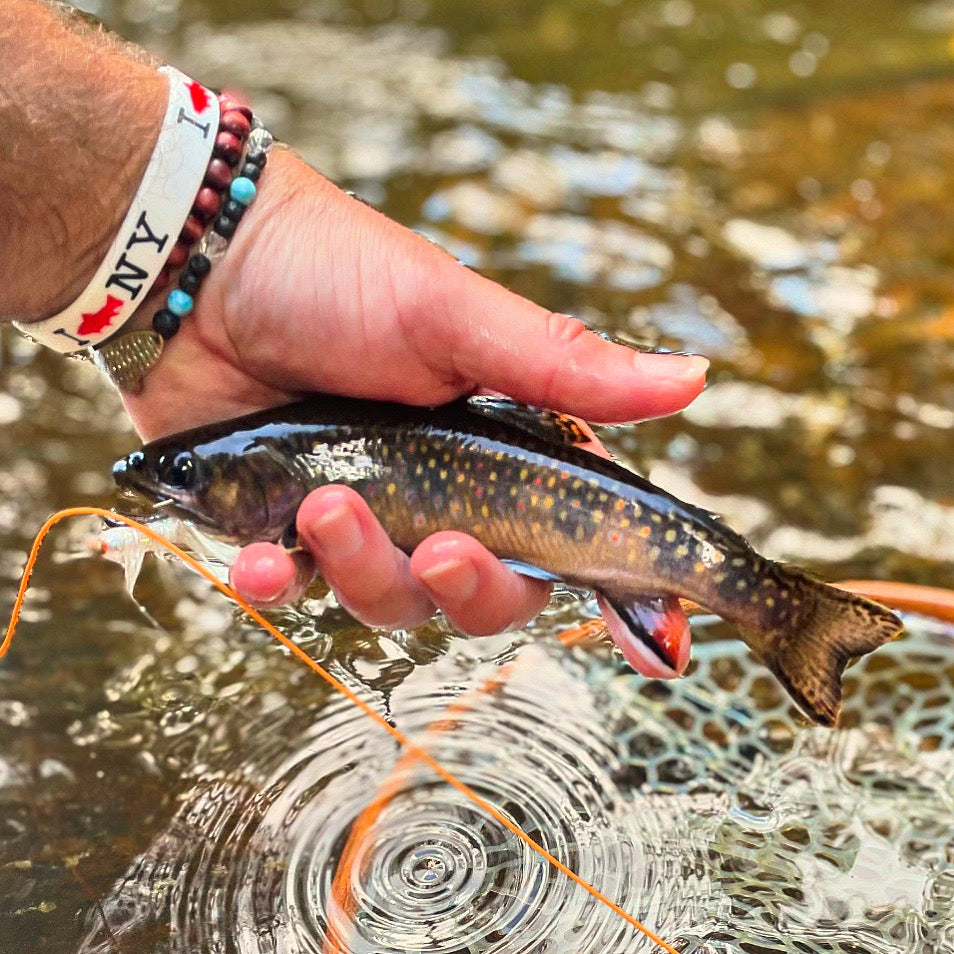 Solitude in the Mountains, by:  the ADK trout bum.