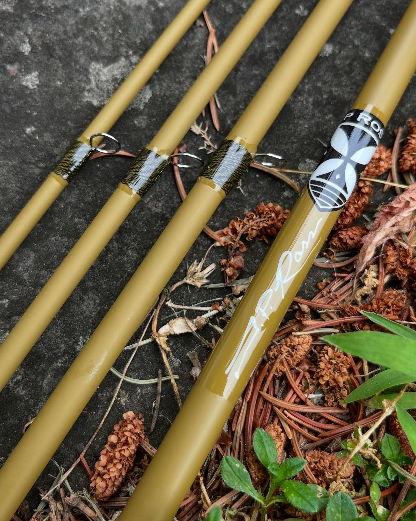 Toad Fish Fly Rpd The TOAD re-enforced butt section S-Glass Fly Rod – JP Ross Fly Rods ...